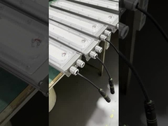 Lampu Linear Led Tahan Ledakan untuk Industri Kimia, SPBU, Pabrik Petrokimia