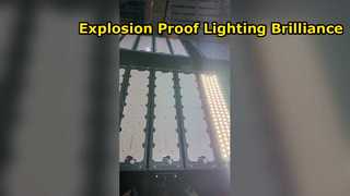 Ip66 Kotak Sepatu Tahan Air Penerangan Jalan Taman Aluminium 200w 300w 400w 500w Demo Lampu Jalan Led