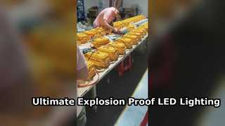 Lampu Sorot LED Tahan Air IP65 yang Disetujui ATEX dengan Kaca Tempered untuk Area Berbahaya