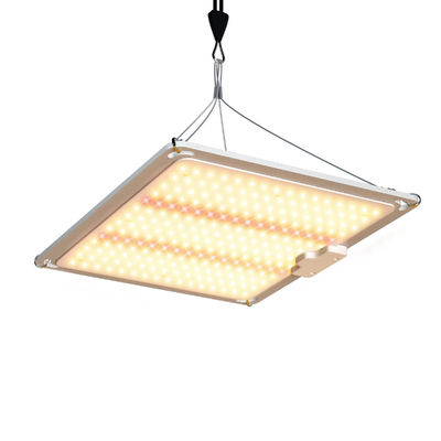 Lampu Tanaman Tumbuh 600w HPS 4x4 untuk Mempromosikan Pembungaan dan Pembuahan