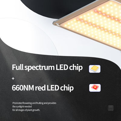 Lampu Tumbuh LED T5 200w Sistem Pencahayaan Rumah Kaca