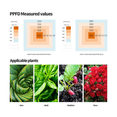 Lampu Tumbuh LED Spektrum Penuh Output Daya 400W dengan Ketinggian Gantung yang Dapat Disesuaikan untuk Pertumbuhan Tanaman Dalam Ruangan