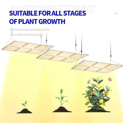 Lampu Tumbuh LED Spektrum Penuh 600W dengan Fungsi Peredup untuk Pertumbuhan Tanaman yang Optimal