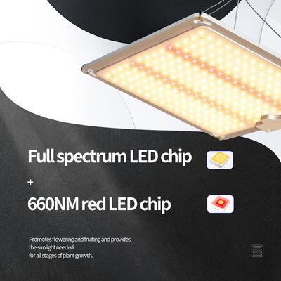 Led Panel 3x3 Tumbuh Cahaya Lampu Tanaman Lampu 600w