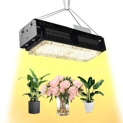 Lampu Tumbuh LED Dalam Ruangan AC85V-265V Untuk Tanaman Rumah 50W