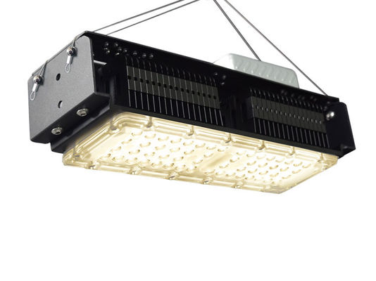 Lampu Tumbuh LED Dalam Ruangan AC85V-265V Untuk Tanaman Rumah 50W