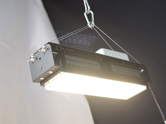Lampu Tumbuh LED Dalam Ruangan AC85V-265V Untuk Tanaman Rumah 50W