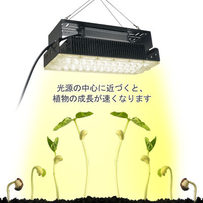 Lampu Tumbuh LED Spektrum Penuh 100W dengan LED SMD3030 untuk Tanaman dan Kebun Dalam Ruangan