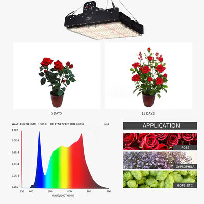 Full Spectrum T5 Led Grow Light Untuk Tanaman Indoor 250w