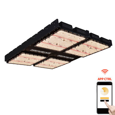 1000W Lampu Tanaman Indoor 4x4 Tumbuh Cahaya