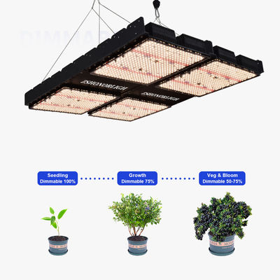 1000W Full Spectrum Dimmable LED Grow Light untuk Tanaman Indoor dengan Kontrol Timer
