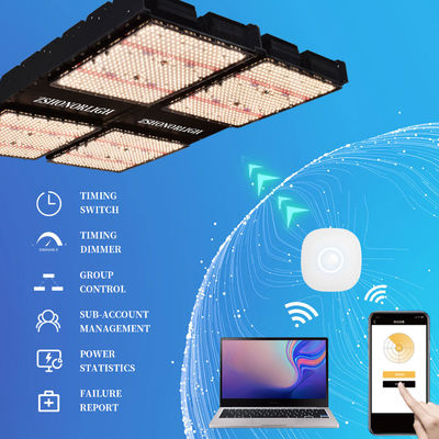 1000W Full Spectrum Dimmable LED Grow Light untuk Tanaman Indoor dengan Kontrol Timer