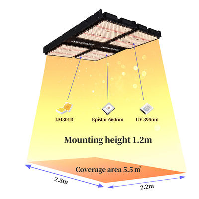 1000W Full Spectrum Dimmable LED Grow Light untuk Tanaman Indoor dengan Kontrol Timer
