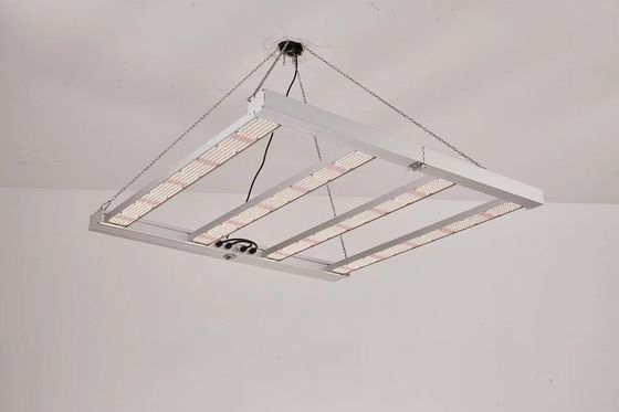 4T lipat Led Grow Light 600W 800W Untuk komersial