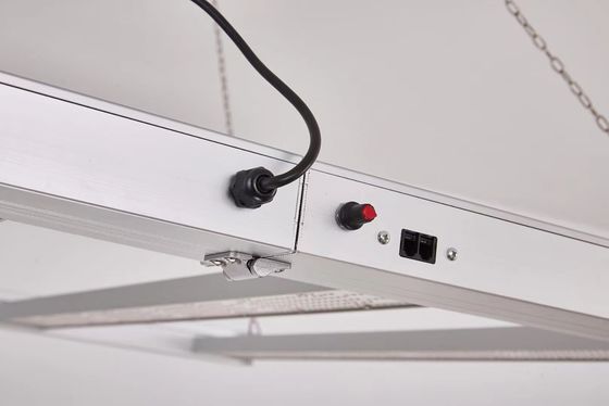 800W Full Spectrum LED Grow Light dengan IP65 Waterproof untuk pertumbuhan tanaman komersial