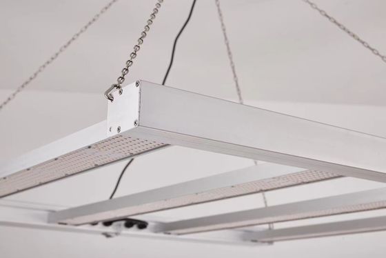 800W Full Spectrum LED Grow Light dengan IP65 Waterproof untuk pertumbuhan tanaman komersial