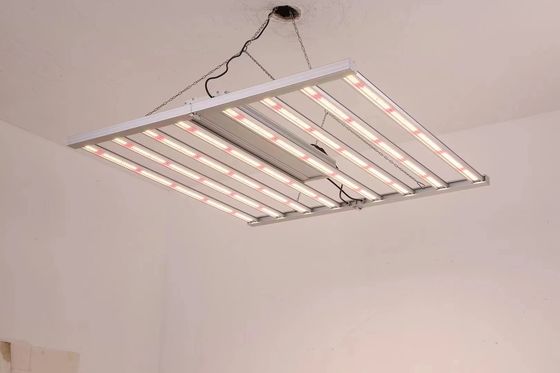Lipat 8T Rumah Kaca Tumbuh Lampu 800W 1000w Hps