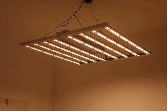 Lipat 8T Rumah Kaca Tumbuh Lampu 800W 1000w Hps