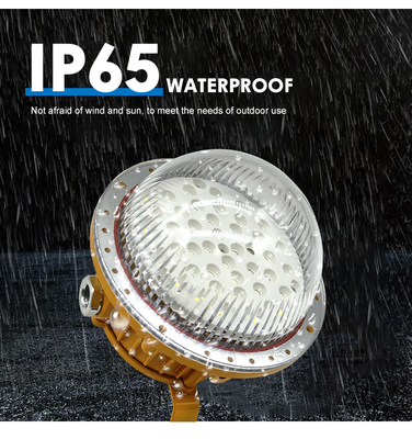 Lampu Anti Ledakan Ip65 untuk Penerangan SPBU 50w 100w 150w Lampu Anti Ledakan