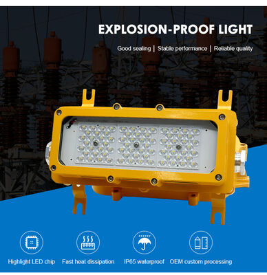 Ip65 Atex Ledakan Proof Flood Light 50w Ledakan Proof Flood Light