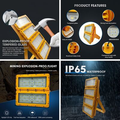 Zona 1 Zona 2 300W LED Lampu Banjir Proof LUMILEDS LM-80 ATEX IIb T6 debu gas IP65 Fitur Area Berbahaya
