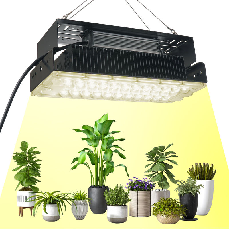 Lampu Tumbuh LED Spektrum Penuh 100W dengan LED SMD3030 untuk Tanaman dan Kebun Dalam Ruangan