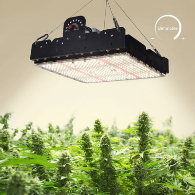 Full Spectrum T5 Led Grow Light Untuk Tanaman Indoor 250w