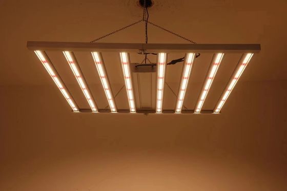 Lipat 8T Rumah Kaca Tumbuh Lampu 800W 1000w Hps